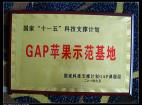 GAPƻʾ